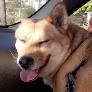 Meet your Posher, Austin